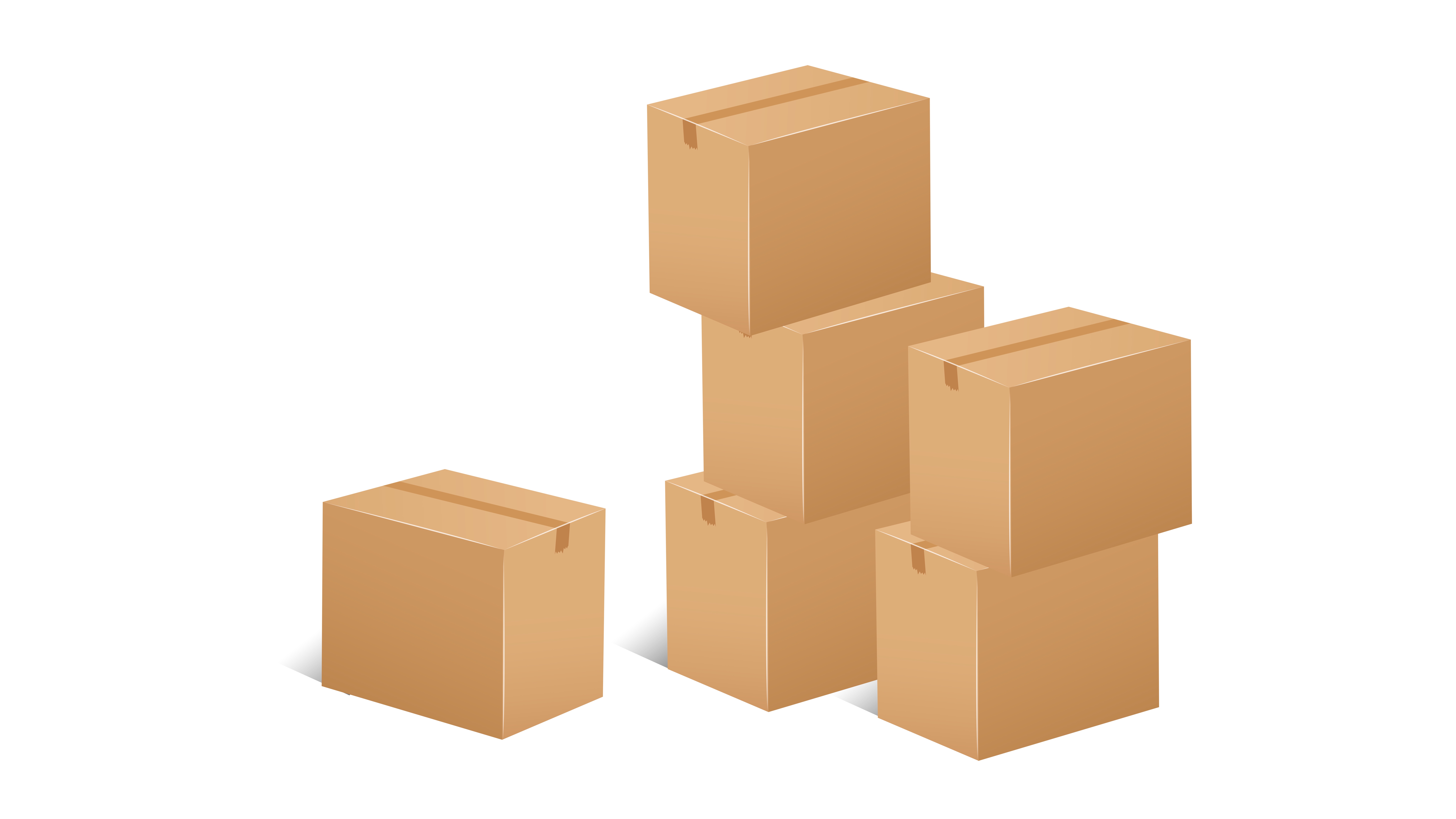 The best PHP packages to use in 2025